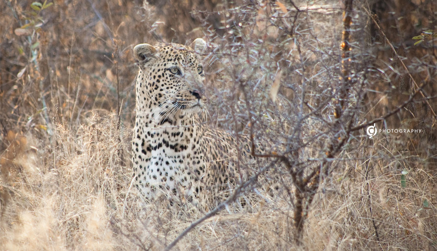kruger_wildtuin_2013_63