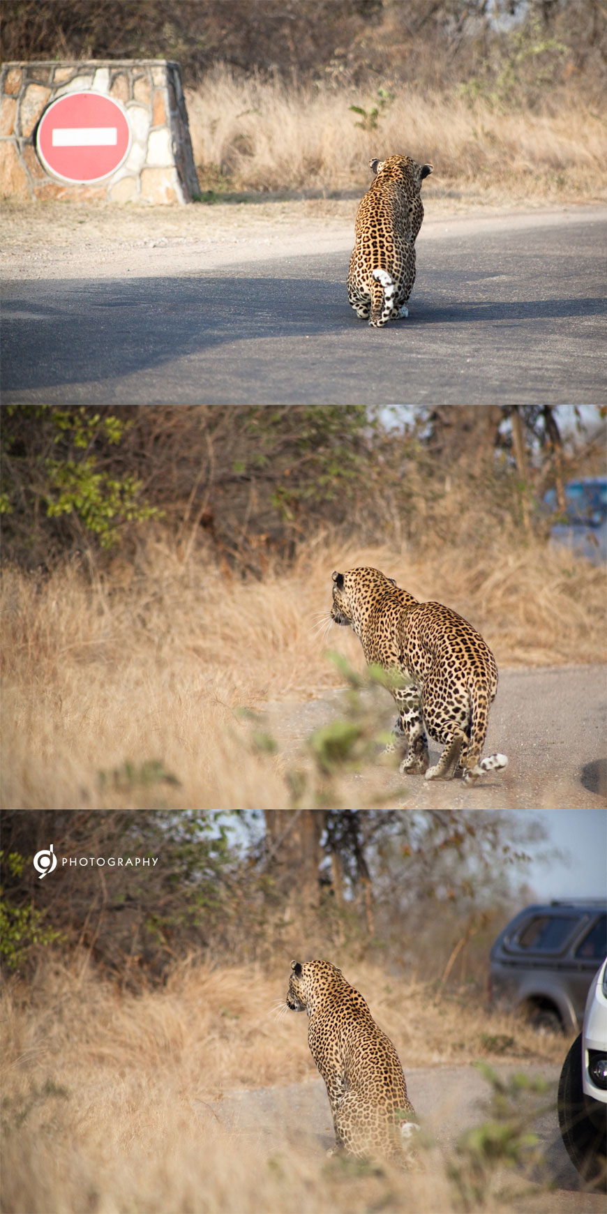 kruger_wildtuin_2013_64b